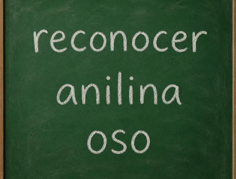 Palíndromo: qué significa, ejemplos y qué es un capicúa