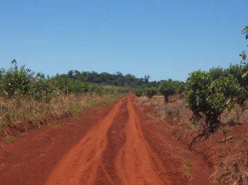 misiones