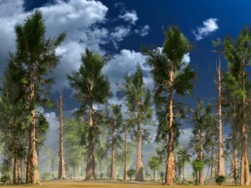 Planeta Tierra: por qué antes los días duraban 19 horas