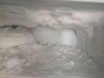 freezer