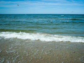 por qué no podemos tomar agua de mar