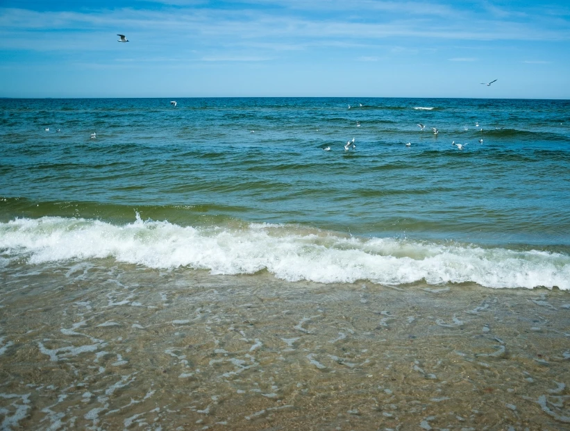 por qué no podemos tomar agua de mar