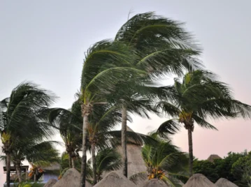 ¿Por qué silba el viento?